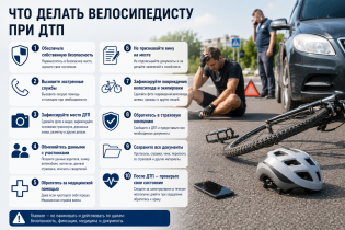 Что делать велосипедисту при ДТП: пошаговая инструкция